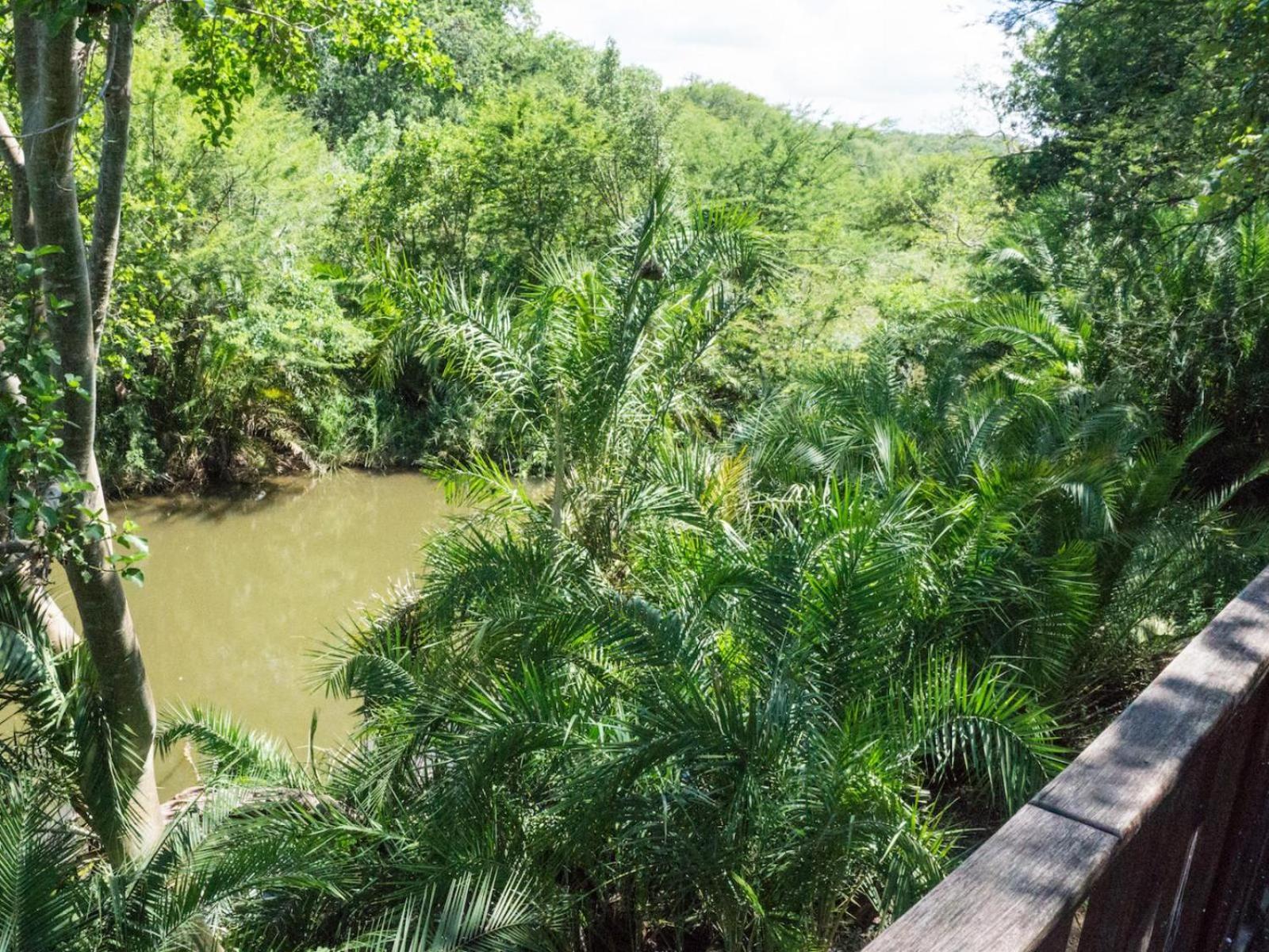 Mbuluzi Game Reserve Simunye 客房 照片