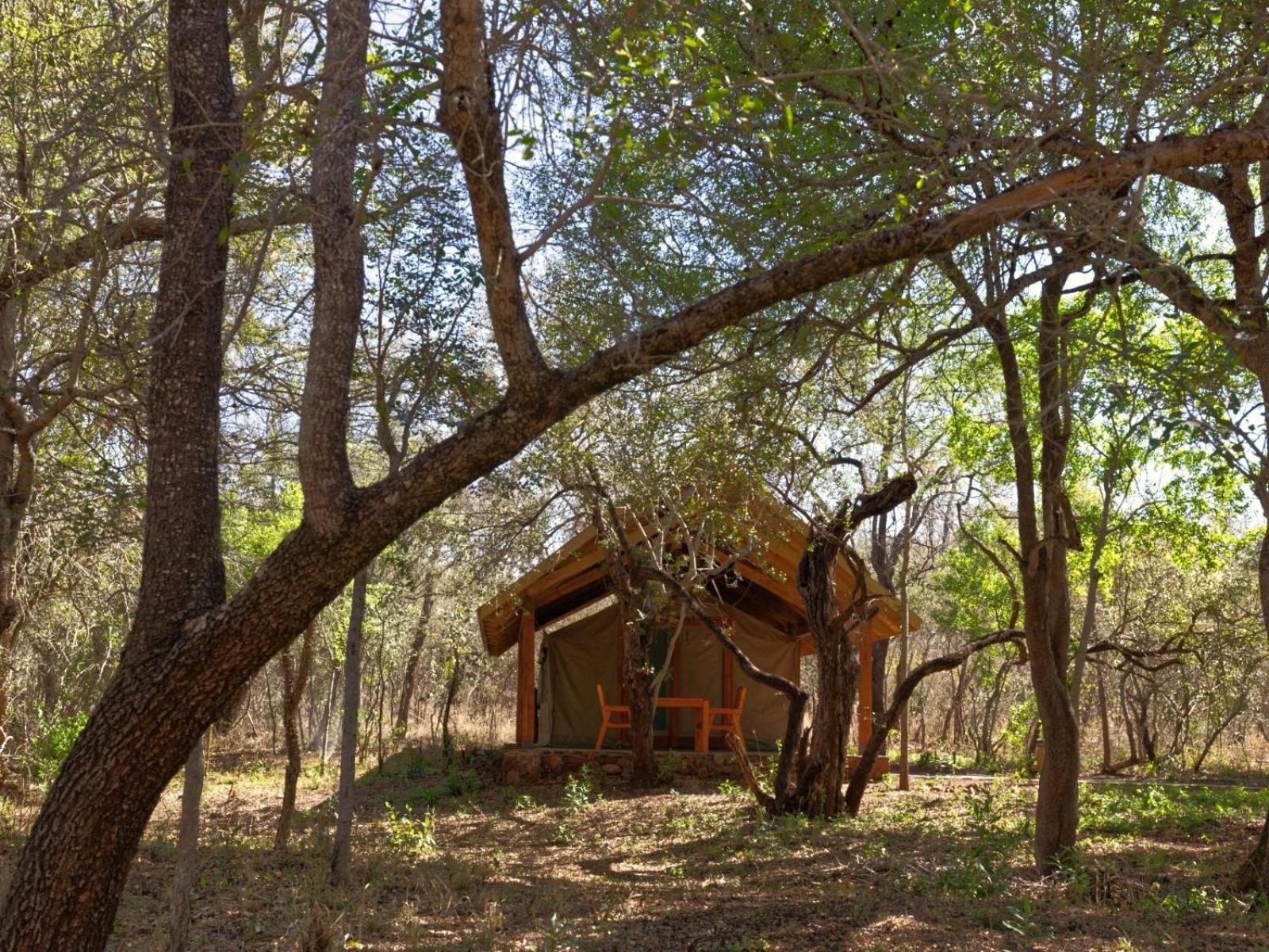Mbuluzi Game Reserve Simunye 客房 照片